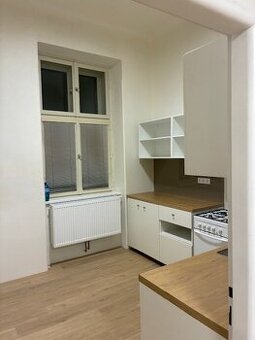 Pronajmu zrekonstruovaný byt v centru  1+1 velikost 53 m2