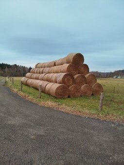 Druhá seč otava