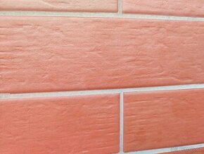Ceramika Paradyz Obklad Natural Rosa 24,5x6,6