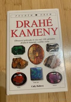 Kniha Drahé kameny - Cally Hallová