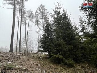Prodej, les, 30934 m2, Vřesce