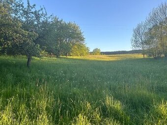 Stavební pozemek s lesem Řetůvka, okres Ústí nad Orlicí