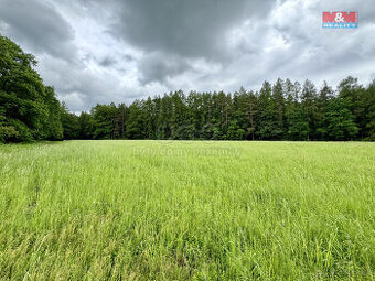 Prodej louky, 19172 m², Svojetice