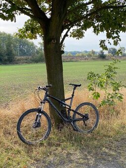 Specialized Stumpjumper