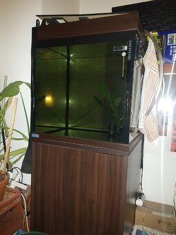 Akvarijni set Eheim