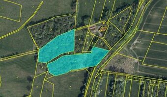 Prodám pozemky v k.ú. Starý Ples