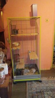 Velká klec. V top stavu