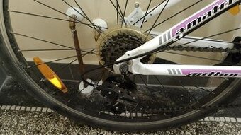 Dívčí kolo Author 26