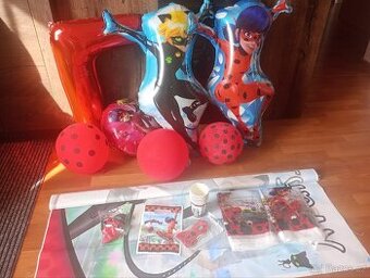 Párty dekorace a foto pozadí Kouzelná beruška a černý kocour