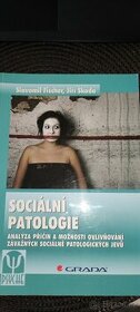 Sociální patologie - 1