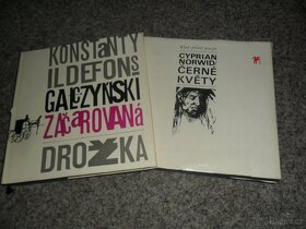 poezie Hrabě, Kundera, Suchý, Hrabal, Dědeček, Vodňanský...