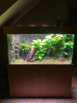 Set akvárium 500 L