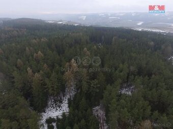 Prodej, les, 16113 m2, Buřany, Jablonec nad Jizerou
