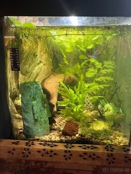 Jewel Primo LED 60 akvárium