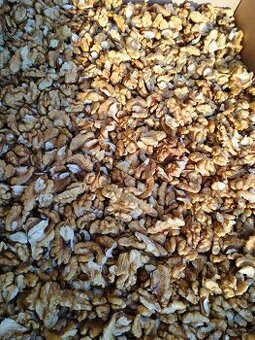 Vyloupané vlašské ořechy 2025