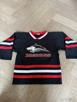 Dětský hokejový dres Vel. Cca 116-122.
