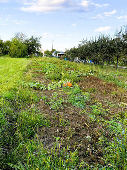 Pozemek pro rodinnou rekreaci - 1