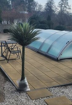 🌴 LUXUSNÍ UMĚLÁ PALMA 190 cm – REALISTICKÉ PROVEDENÍ 🌴