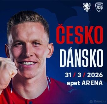 Česko - Dánsko 31.3. D21