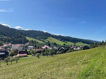 Prodej zemědělských pozemků Velké Karlovice, LV 2868