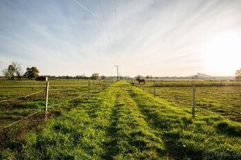 Pastevní ustájení koní - Bohumileč u Rokytna