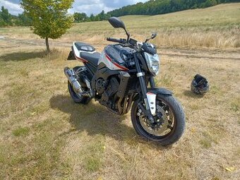Yamaha fz1n 2009