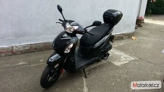 Kentoya C5  125cm