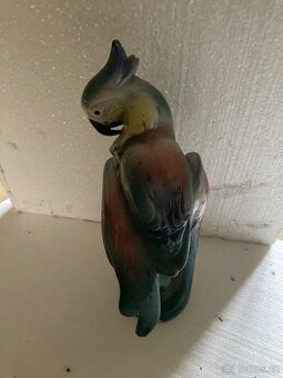 Prodám sošku papouška