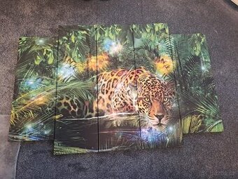 Obraz 5 dílná sada