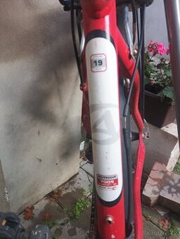 Horské kolo Author Basic sx logic series vel 19