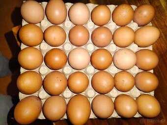 Domácí vajíčka