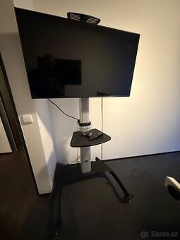 Televize s pojízdným stojanem ( vhodná do kanceláře)