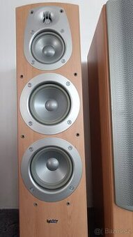 Infinity Beta 40