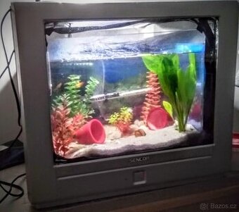 Akvárium z televize - 1