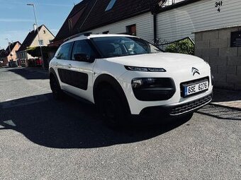 C4 Cactus