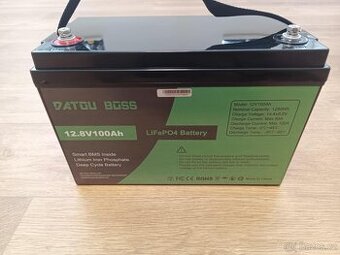 DATOUBOSS 12V 100Ah LiFePO4 Baterie (Max Výkon 1280W)