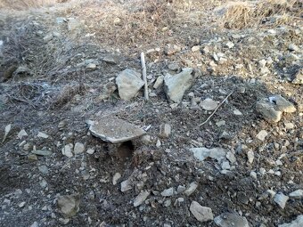 kamenitá hlína, kameny, zemina