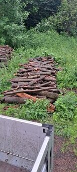 Bukove palivove drevo