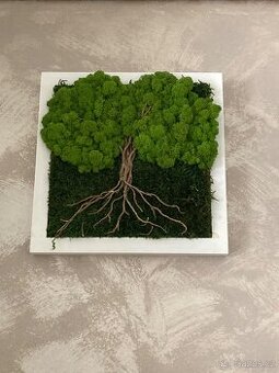 Mechový obraz woodilo design