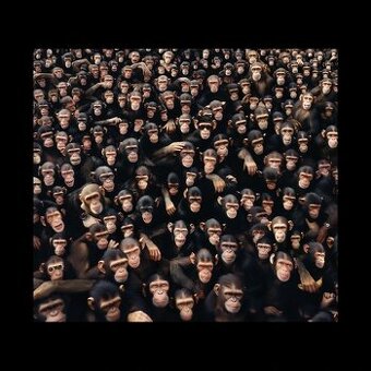 KOUPÍM - vinyl Viktor Sheen - Planeta opic