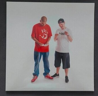 Rest x Dj Fatte - Střepy 2LP