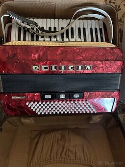 Akordon Delicia