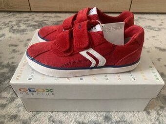 Geox 31