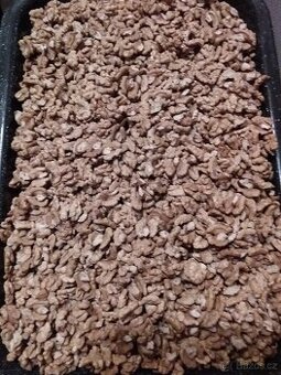 Vlašské ořechy vyloupané