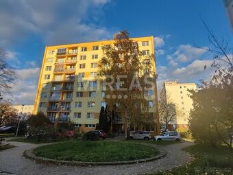 Štětí, prodej bytu 3+1/B, 88 m2, DV.