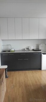 Pronájem bytu 1kk - 1