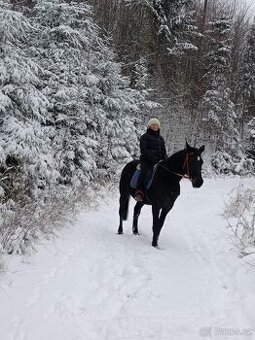 Valášek na rekreaci