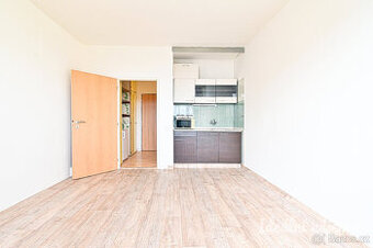 Pronájem bytu 1+kk, Halasovo náměstí, Lesná, 12.800 Kč/měs, 