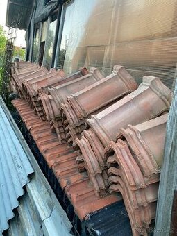 Hřebenáč hranice - 1