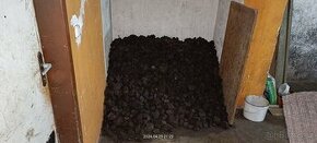 Uhlí hnědá kostka 113 - Bílina, 6,4 q